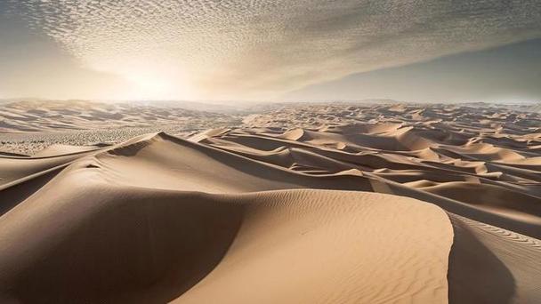 世界第一大沙漠的相关图片