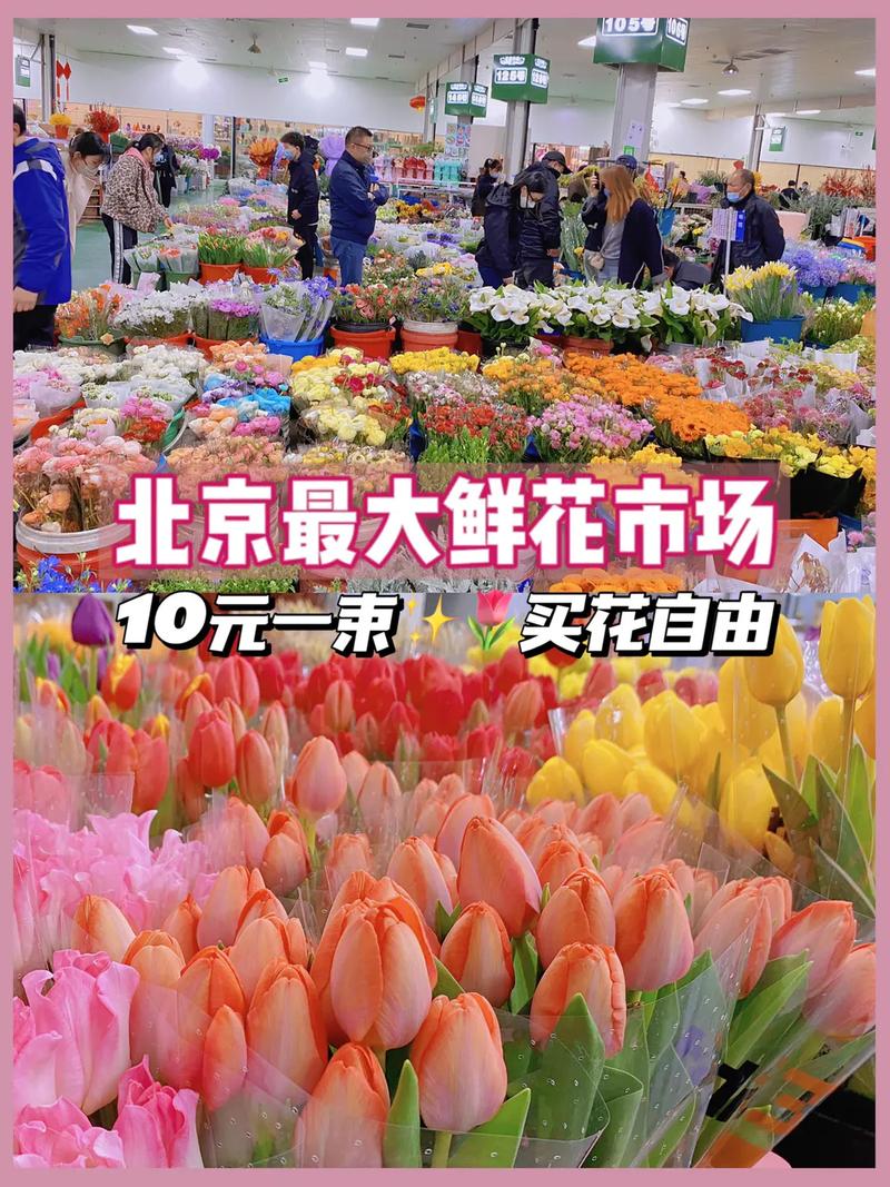 北京鲜花店的相关图片